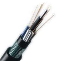 fibre